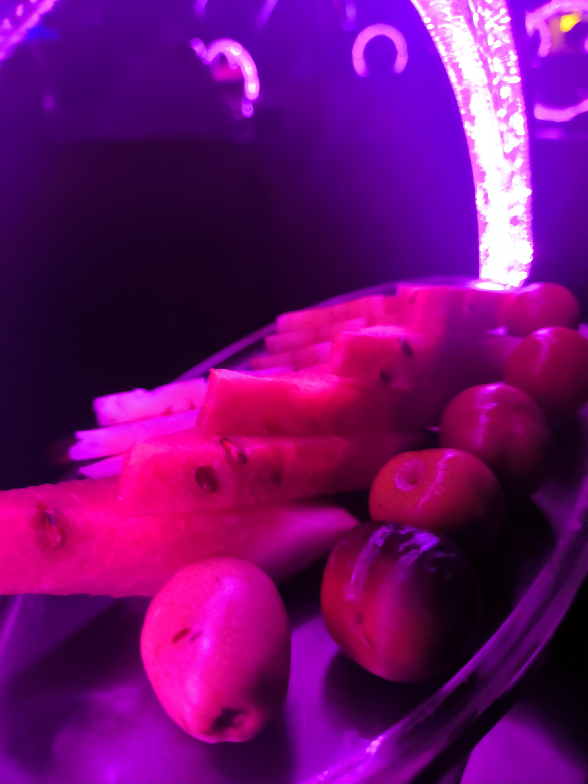 南平商务ktv价格多少钱一个小时-政和县ktv预订